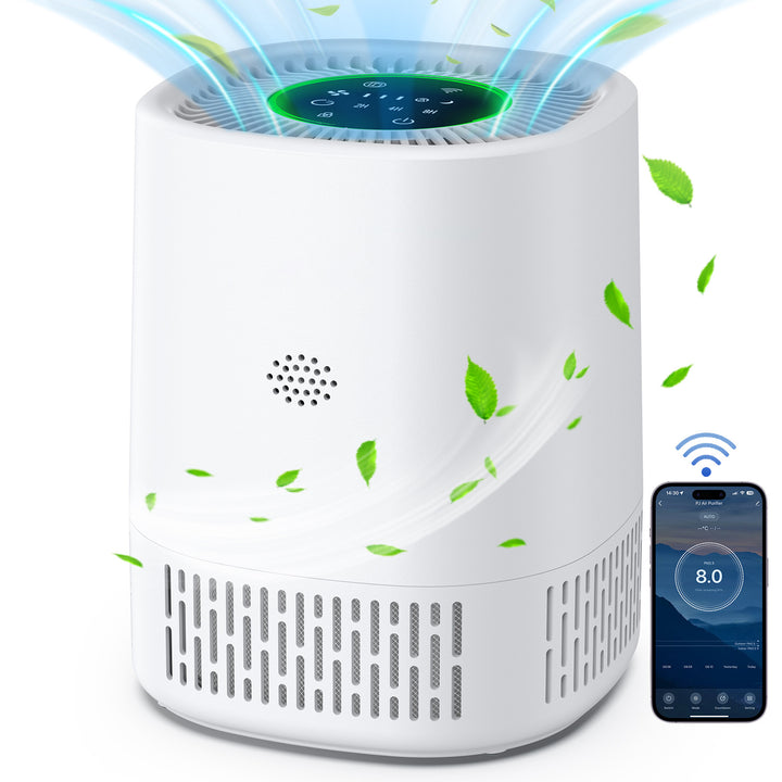 Air Purifier